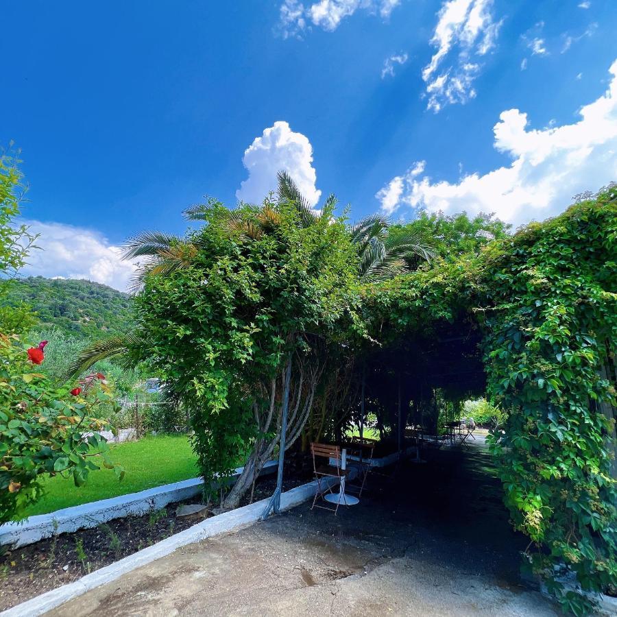 Garden Villa Naza Piqeras Екстер'єр фото