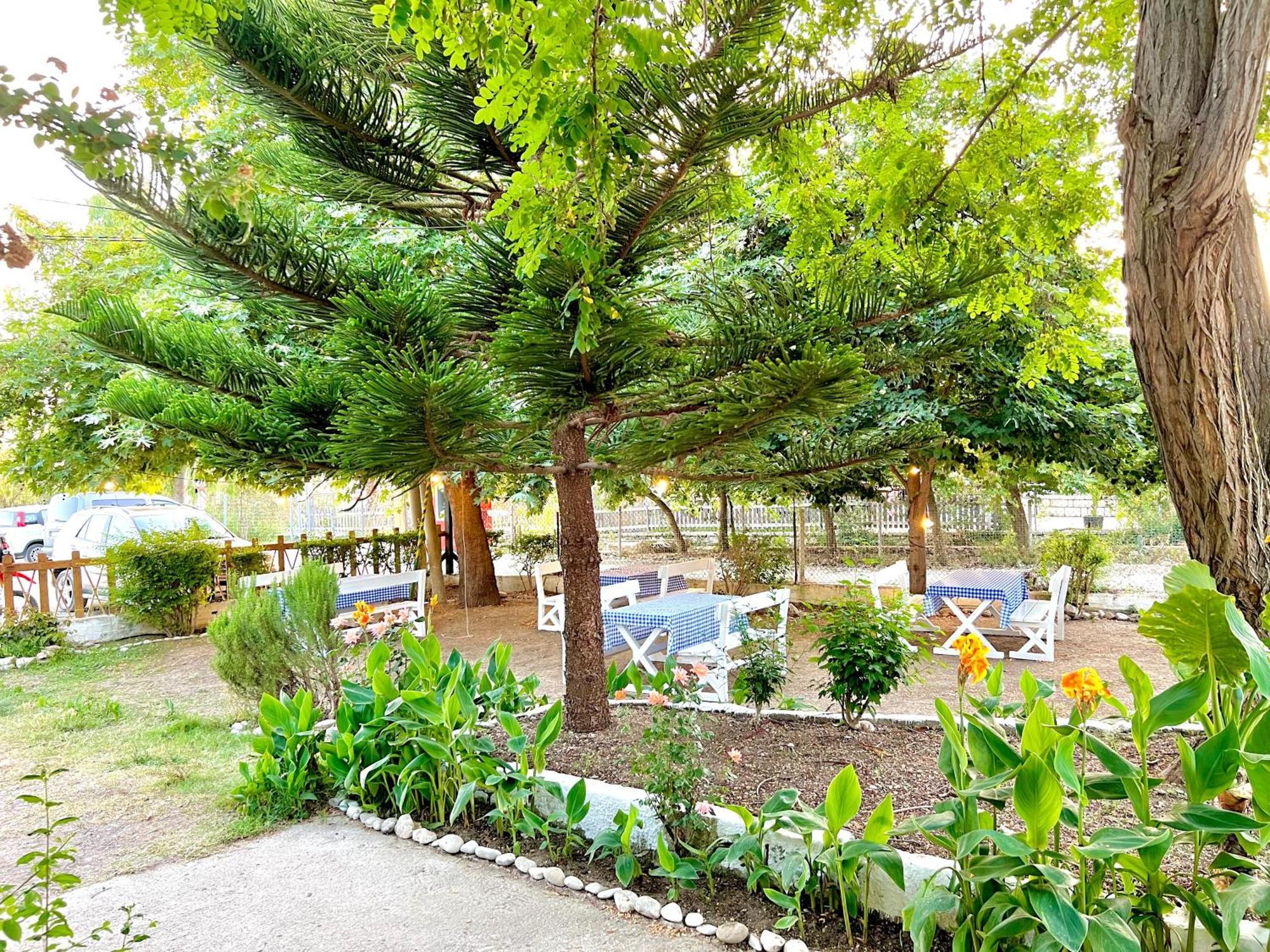 Garden Villa Naza Piqeras Екстер'єр фото